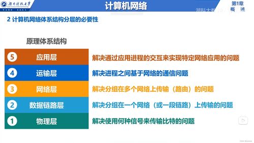 計算機網(wǎng)絡與互聯(lián)網(wǎng)信息服務 從基礎概念到體系結構解析